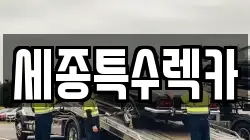 세종특수렉카