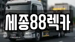 세종특별자치시 렉카, 특수렉카, 차량탁송, 견인운송