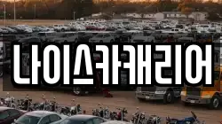 나이스카캐리어