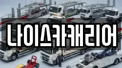 나이스카캐리어