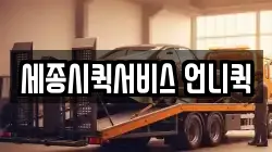 세종시퀵서비스 언니퀵