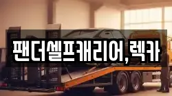 팬더셀프캐리어,렉카