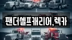 팬더셀프캐리어,렉카