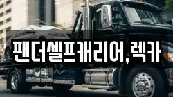 팬더셀프캐리어,렉카