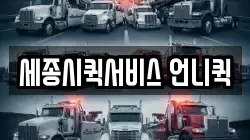 세종시퀵서비스 언니퀵
