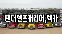 팬더셀프캐리어,렉카