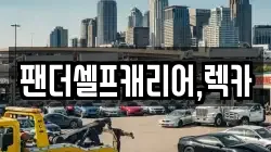 팬더셀프캐리어,렉카