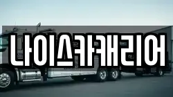 나이스카캐리어