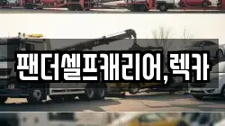 팬더셀프캐리어,렉카