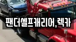 팬더셀프캐리어,렉카
