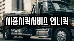 세종시퀵서비스 언니퀵