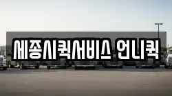 세종시퀵서비스 언니퀵