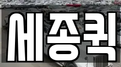 세종퀵