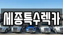 세종특수렉카