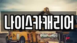 나이스카캐리어