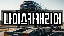 나이스카캐리어