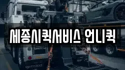 세종시퀵서비스 언니퀵