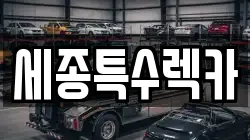 세종특수렉카