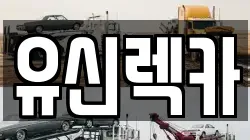 유신렉카