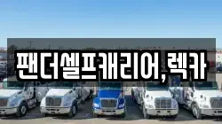 팬더셀프캐리어,렉카