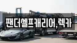 팬더셀프캐리어,렉카