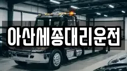 아산세종대리운전