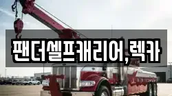 팬더셀프캐리어,렉카