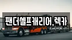 팬더셀프캐리어,렉카