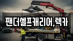 팬더셀프캐리어,렉카