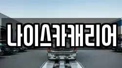 나이스카캐리어
