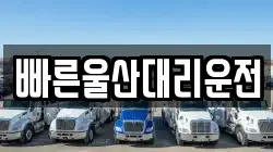 빠른울산대리운전