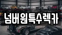 넘버원특수렉카