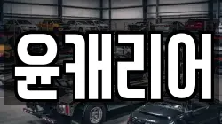 윤캐리어