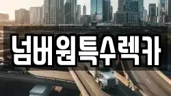 넘버원특수렉카