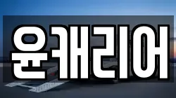 윤캐리어