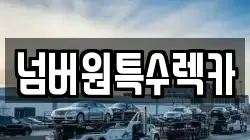 넘버원특수렉카