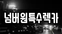 넘버원특수렉카