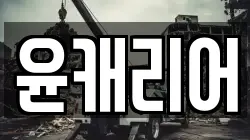 윤캐리어