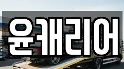 윤캐리어