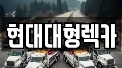 울산광역시 남구 장생포동 렉카, 특수렉카, 차량탁송, 견인운송