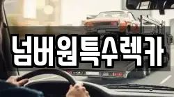 울산광역시 남구 황성동 렉카, 특수렉카, 차량탁송, 견인운송