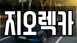 지오렉카