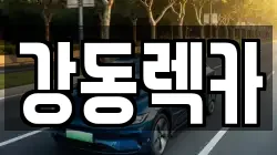 강동렉카