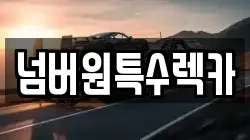 넘버원특수렉카