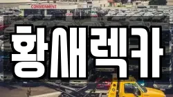 황새렉카