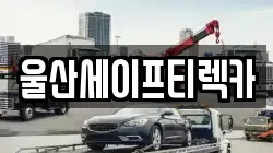 울산세이프티렉카