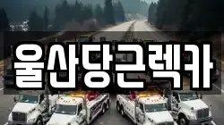 울산당근렉카