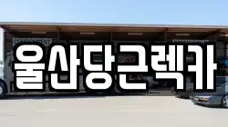 울산당근렉카