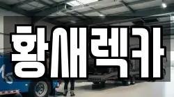 황새렉카