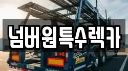넘버원특수렉카